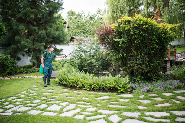 Best Wasp Removal Services  in Red Bay, AL
