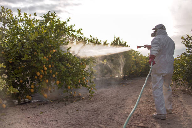 Best Rat Extermination Near Me  in Red Bay, AL