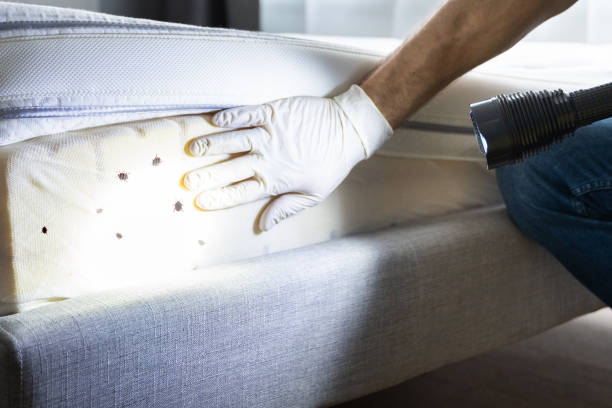 Best Pest Control for Businesses  in Red Bay, AL