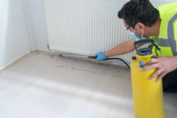 Best Pest Control Cost  in Red Bay, AL